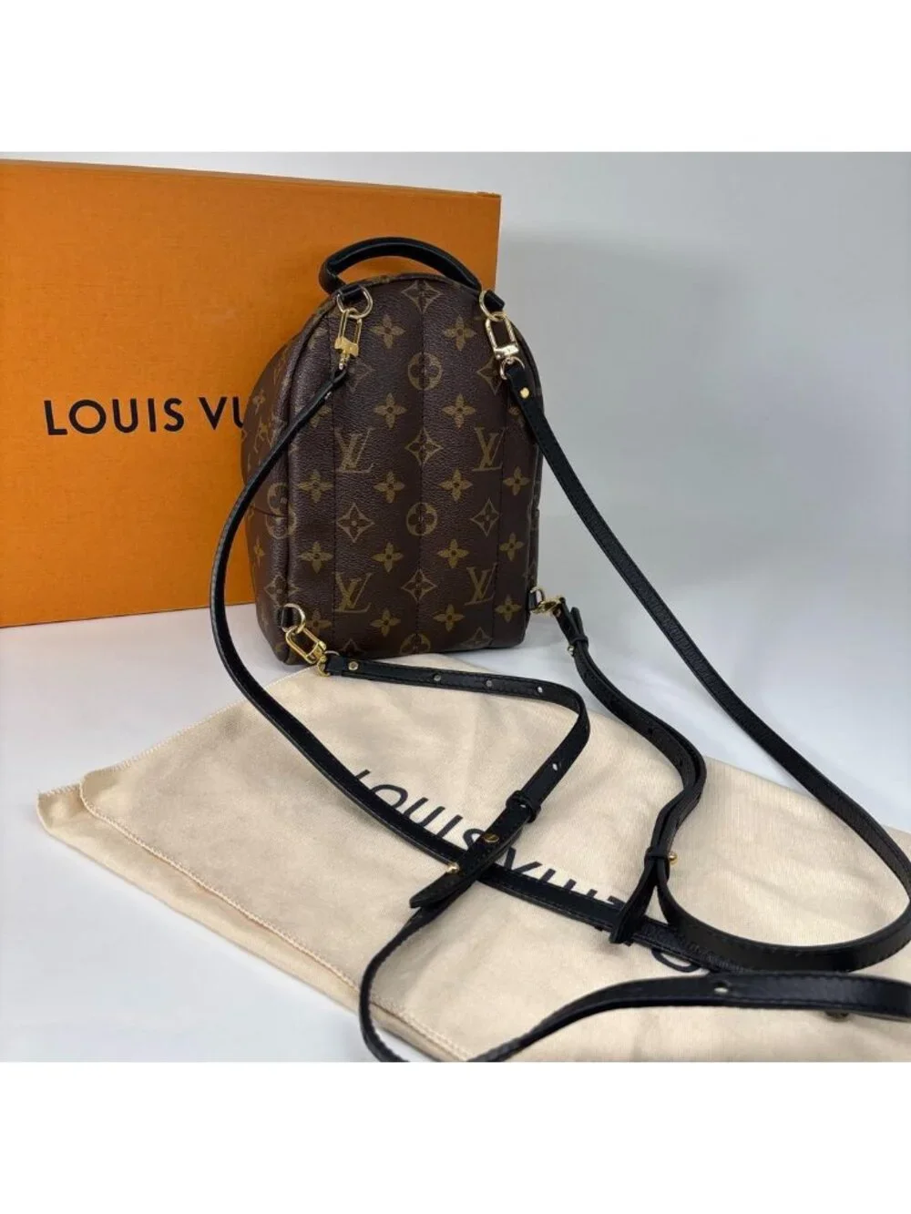 Louis Vuitton Palm Springs Mini Backpack Monogram